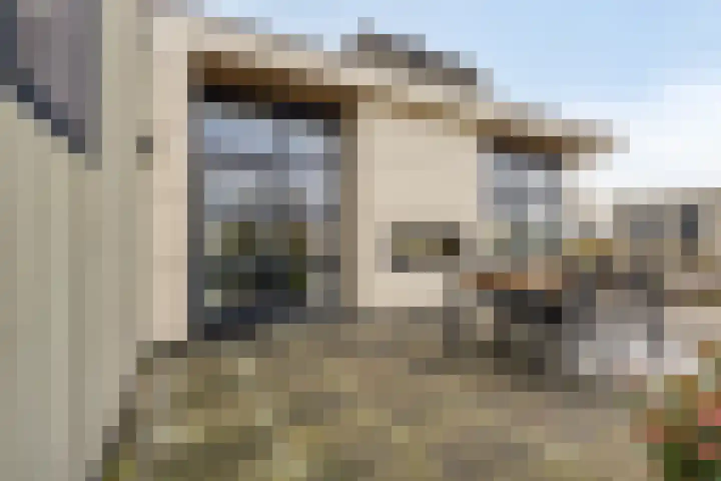 Hulckesteijn 25 Nijkerk thumbnail 8