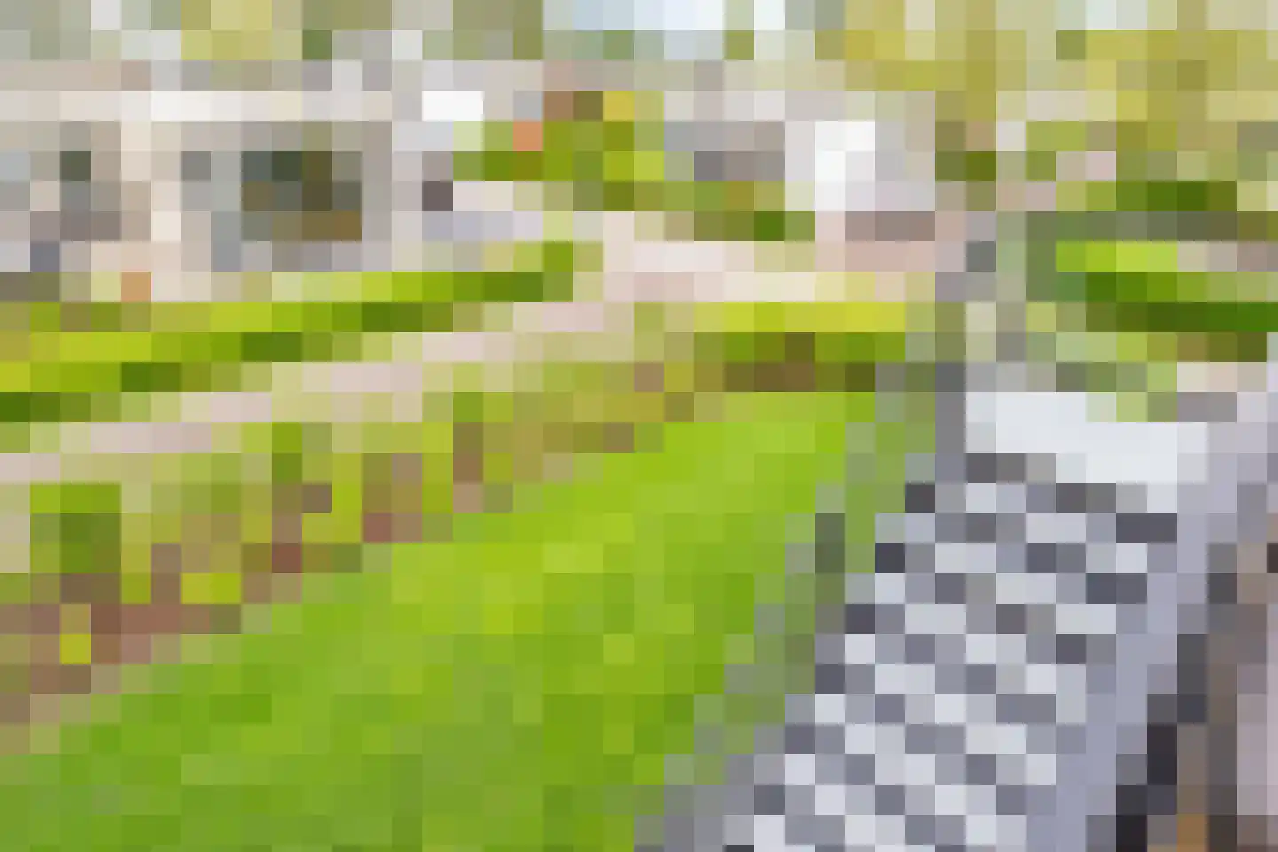 Hulckesteijn 3 019 Nijkerk thumbnail 5