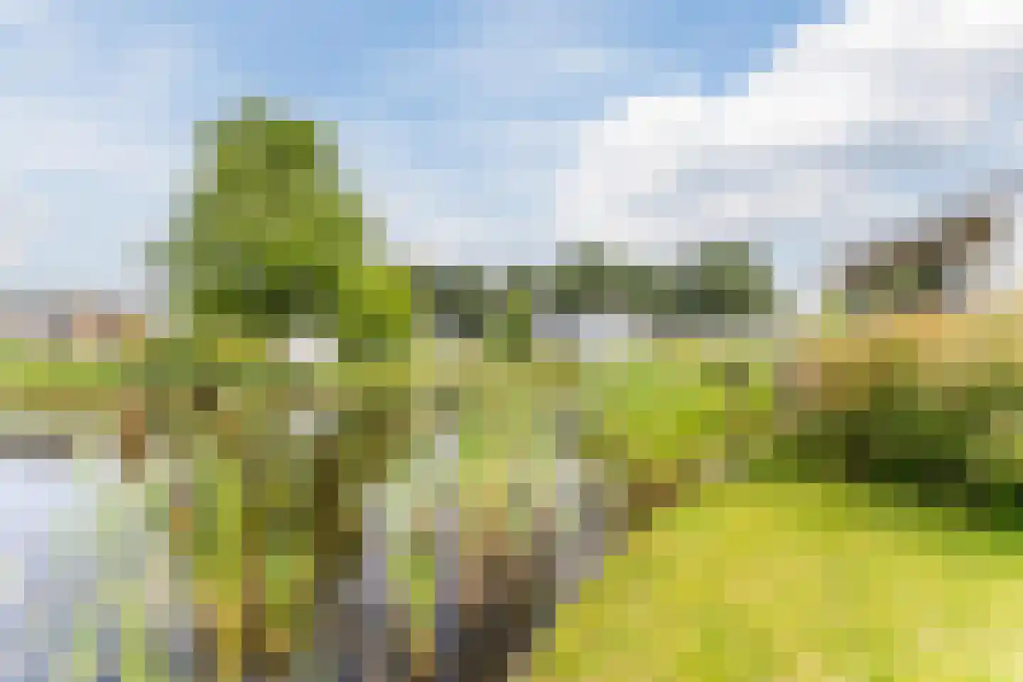 Hulckesteijn 3 0421 Nijkerk thumbnail 6
