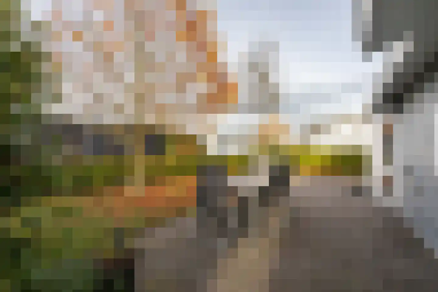 Hulckesteijn 3 055 Nijkerk thumbnail 6