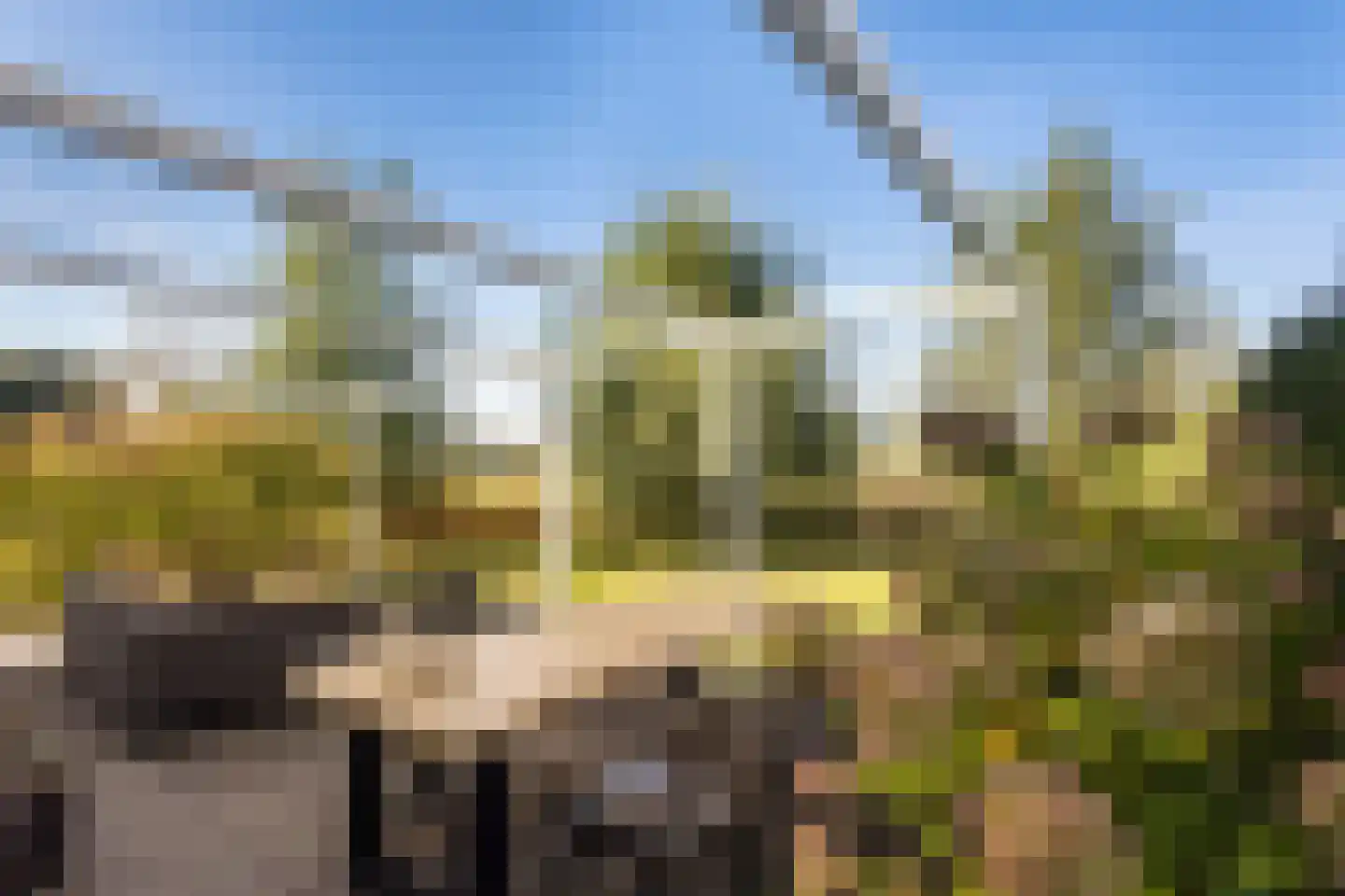 Hulckesteijn 3 093 Nijkerk thumbnail 5