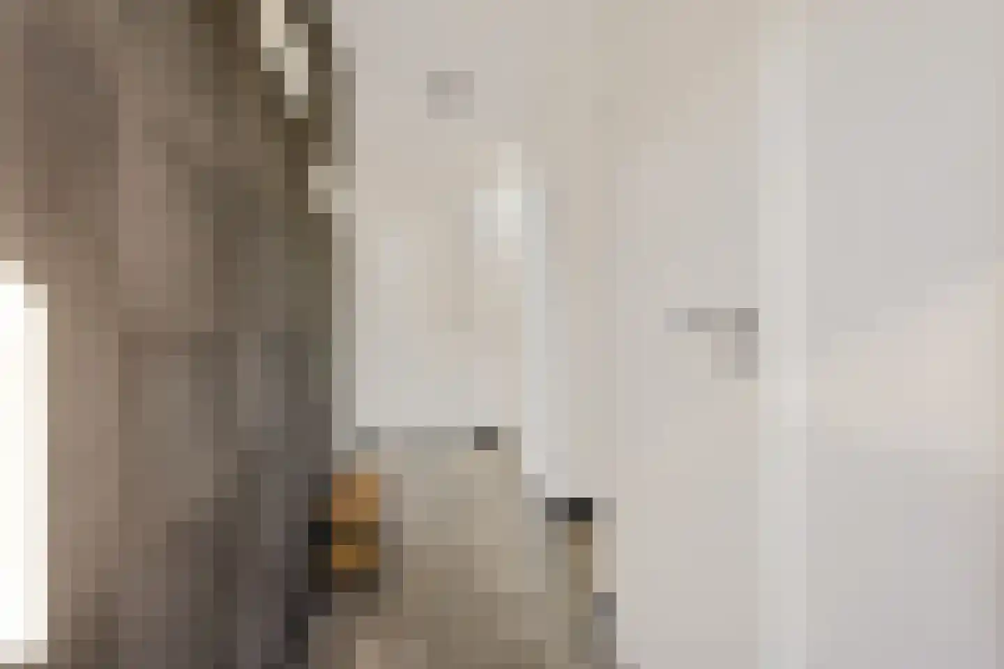 Hulckesteijn 3 093 Nijkerk thumbnail 7