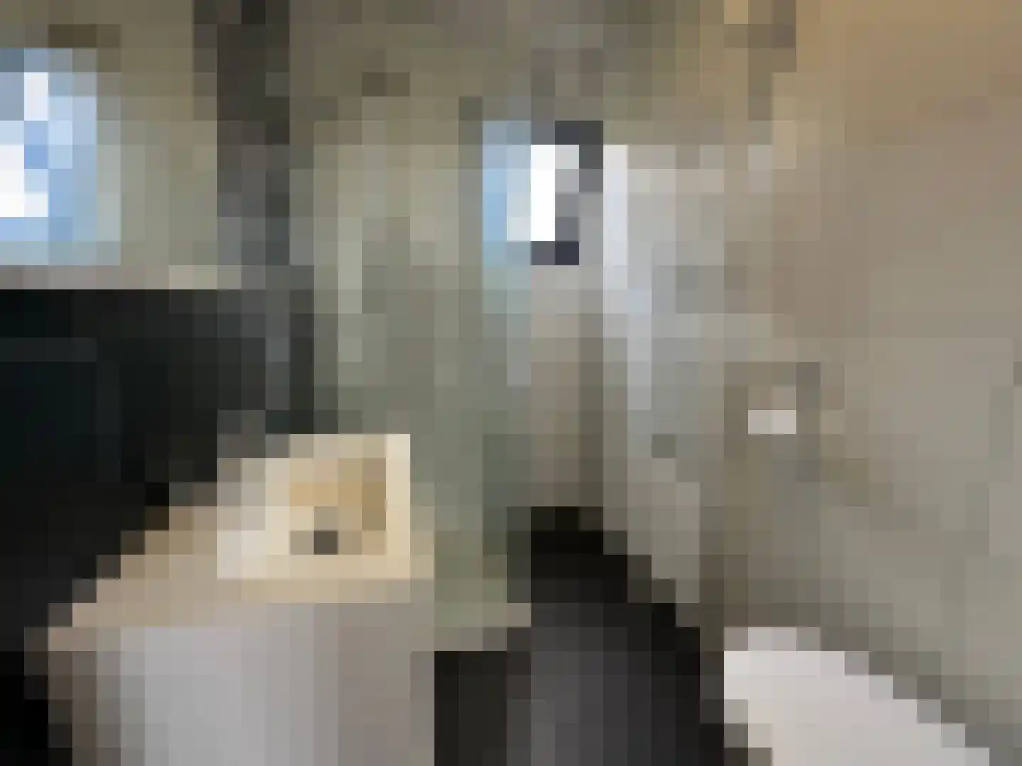 Hulckesteijn 3 CM33 Nijkerk thumbnail 11