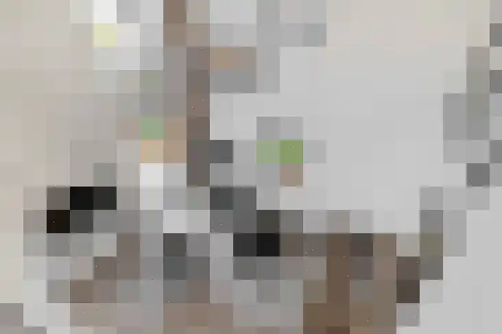 Hulckesteijn 3 Nijkerk thumbnail 15