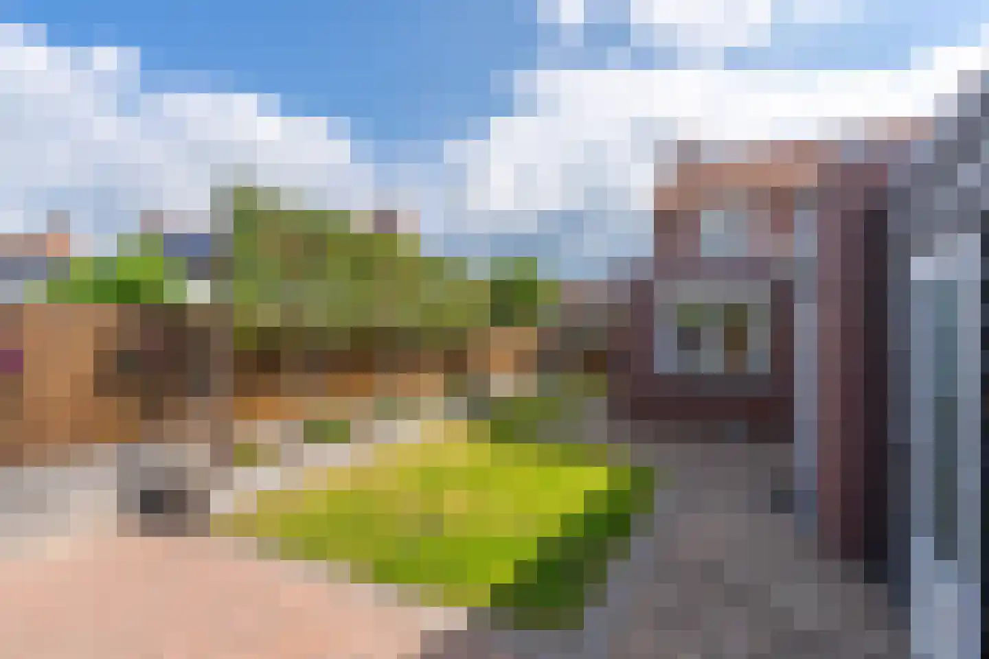 Hulderstraat 3 Maashees thumbnail 15