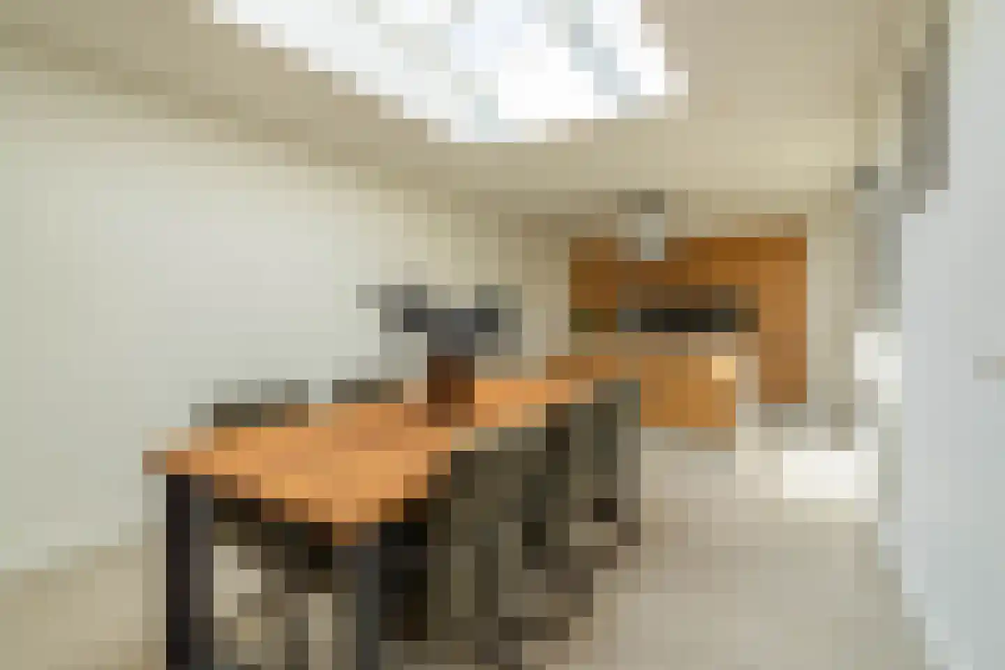 Hulderstraat 3 Maashees thumbnail 25