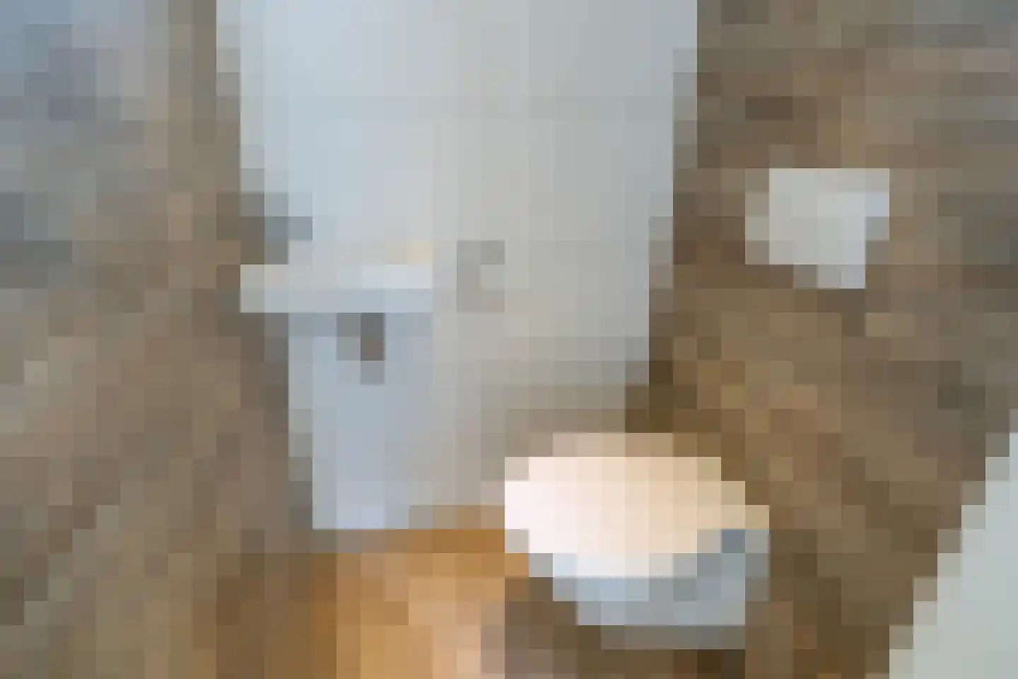 Hulderstraat 3 Maashees thumbnail 34