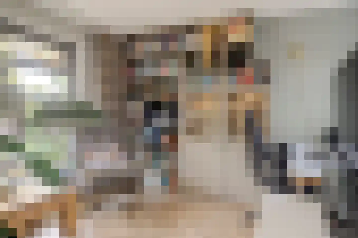 Hulft 19 Bovenkarspel thumbnail 17