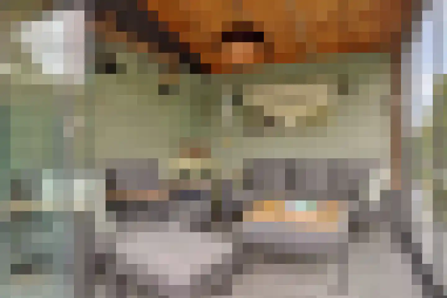Hulft 19 Bovenkarspel thumbnail 39