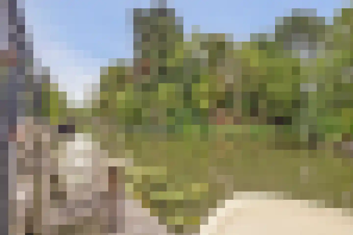 Hulft 19 Bovenkarspel thumbnail 41