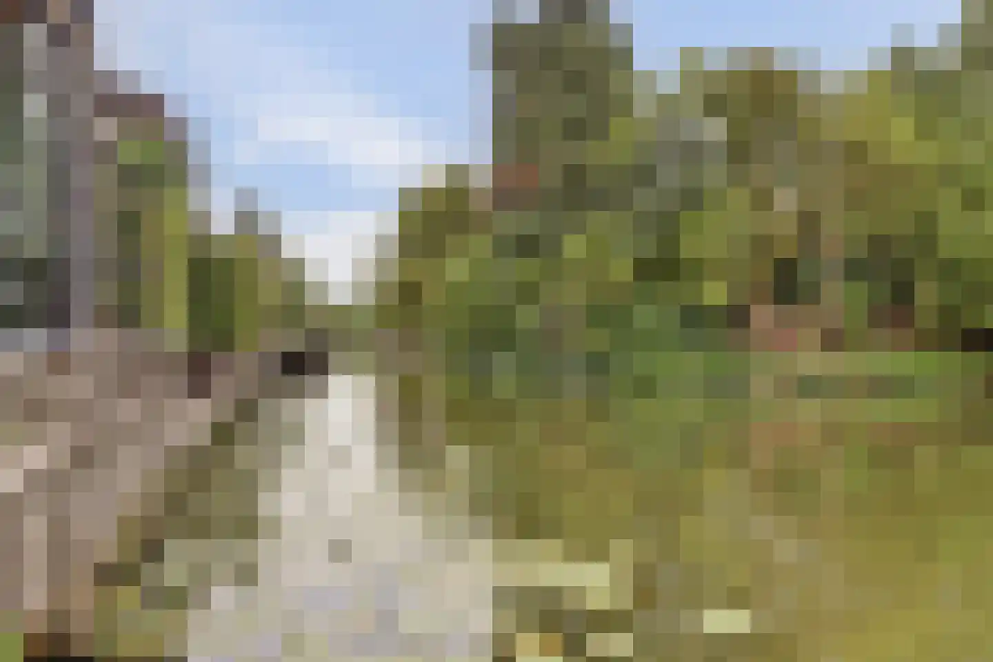 Hulft 19 Bovenkarspel thumbnail 42