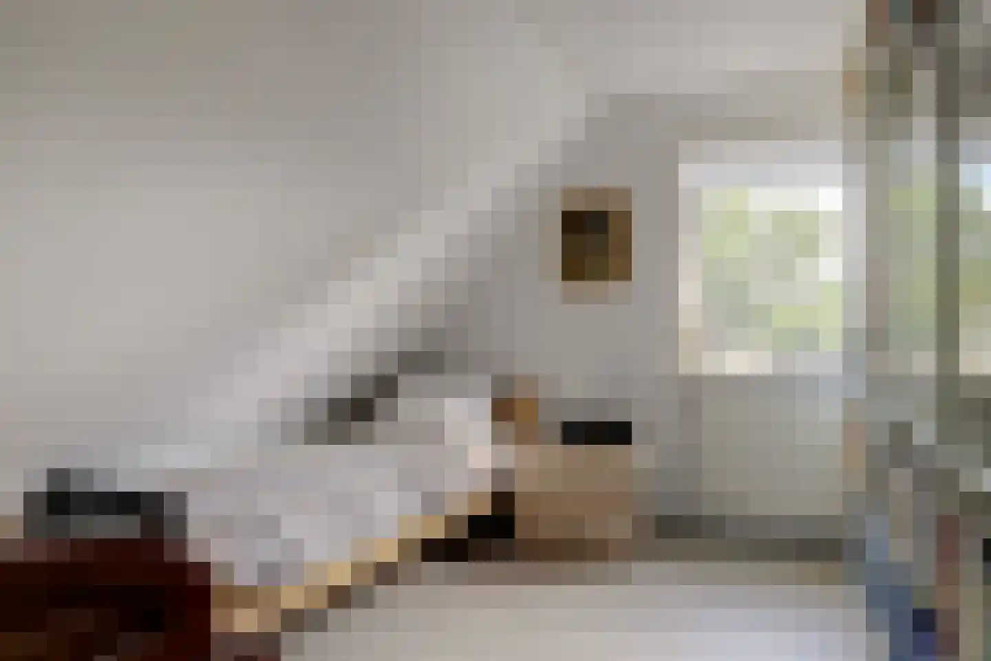 Hulft 19 Bovenkarspel thumbnail 46
