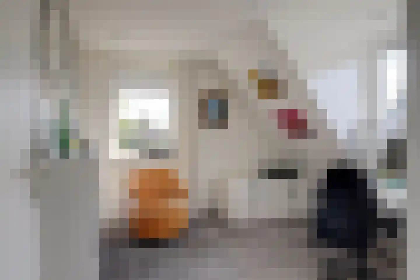 Hulft 19 Bovenkarspel thumbnail 48