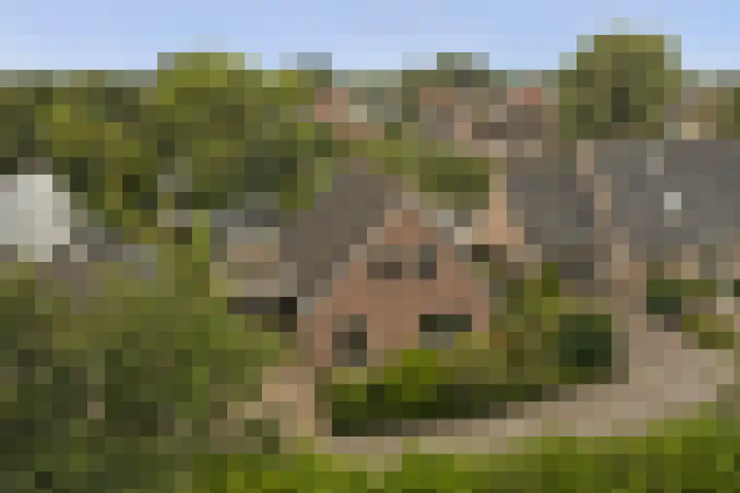 Hulft 19 Bovenkarspel thumbnail 53