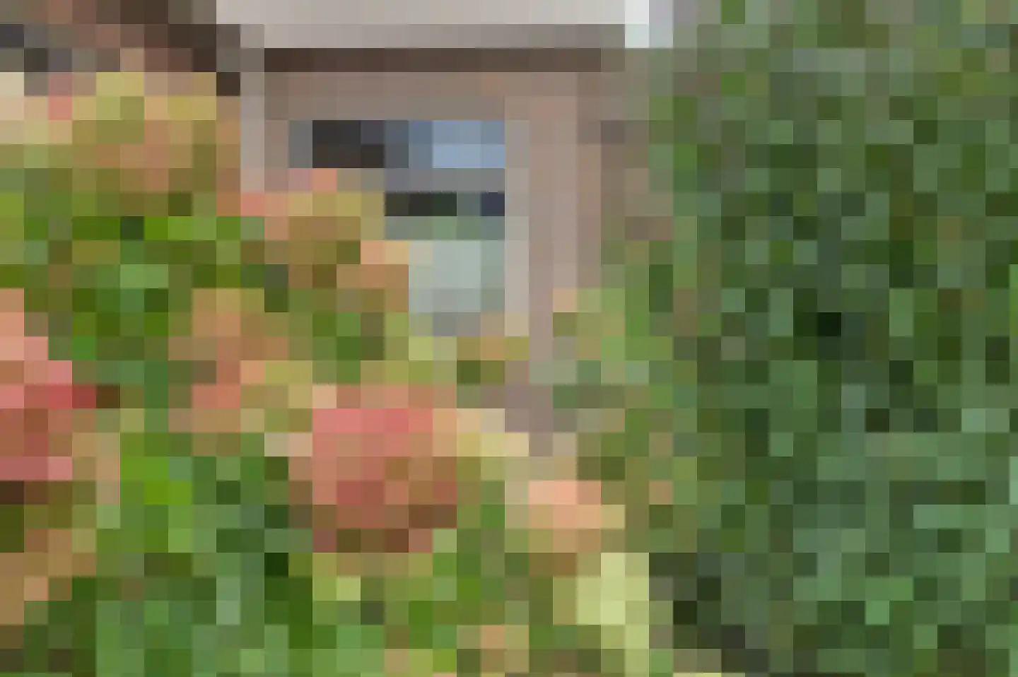 Hulft 19 Bovenkarspel thumbnail 6