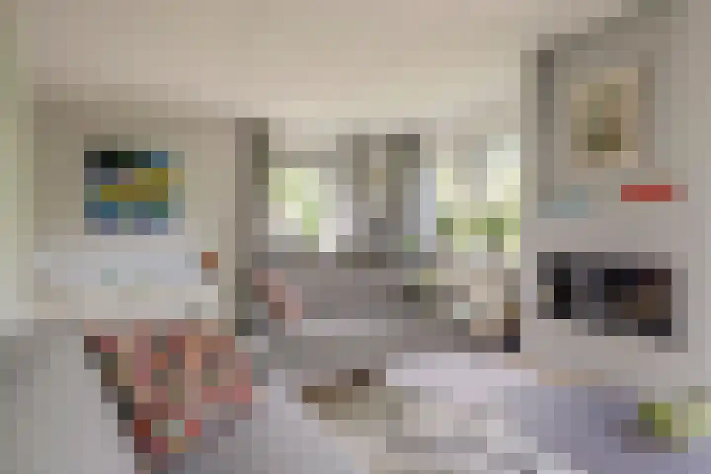 Hulft 19 Bovenkarspel thumbnail 9