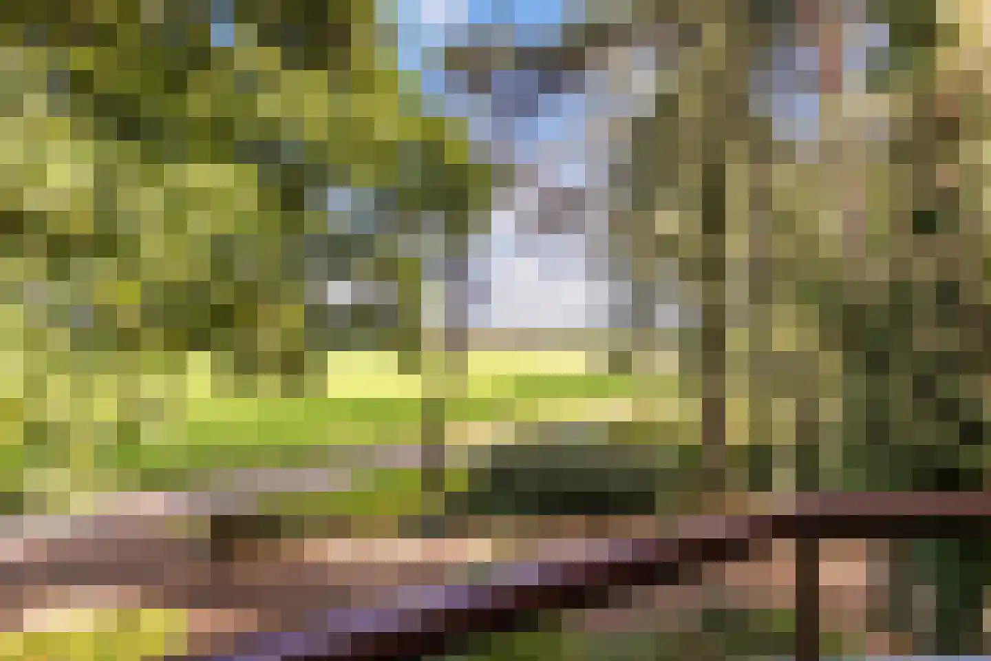 Hulhorstweg 28 Beekbergen thumbnail 32