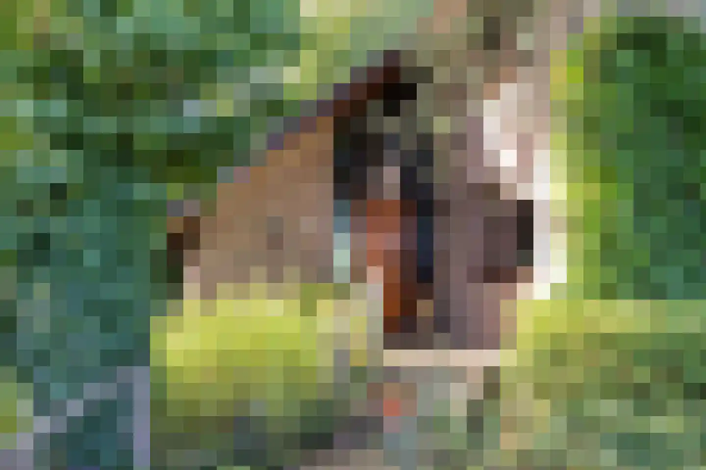Hulhorstweg 28 Beekbergen thumbnail 4