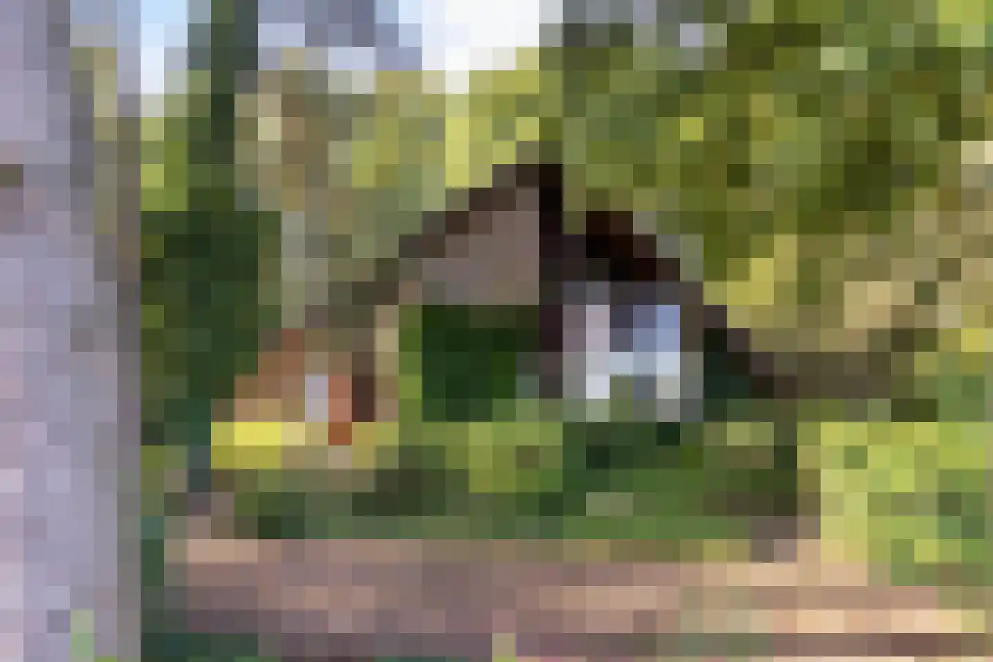 Hulhorstweg 28 Beekbergen thumbnail 48
