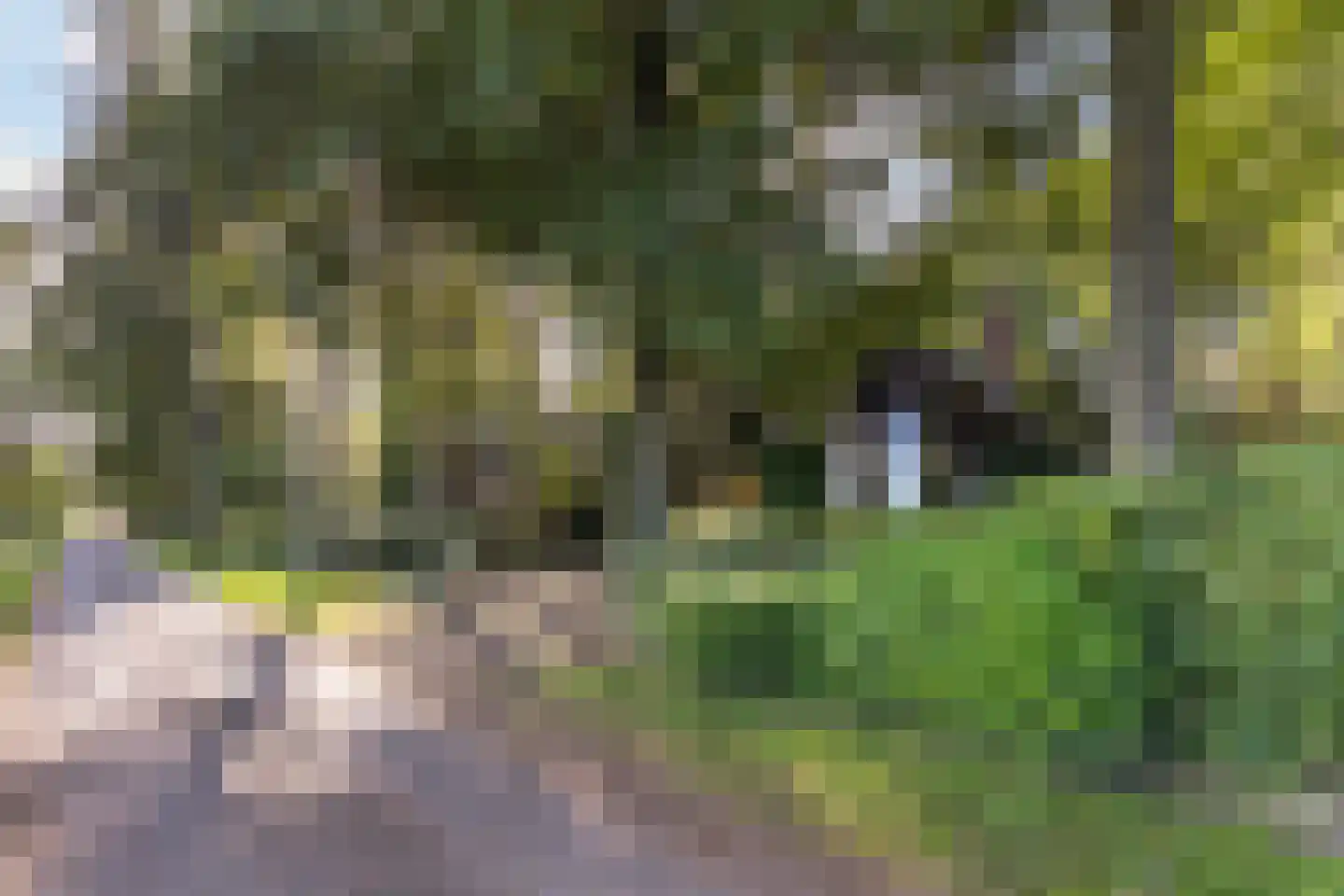 Hulhorstweg 28 Beekbergen thumbnail 49