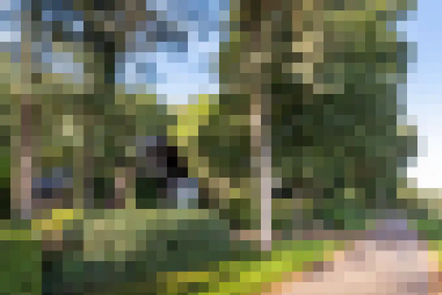 Hulhorstweg 28 Beekbergen thumbnail 50