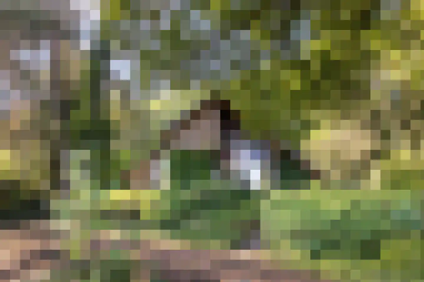Hulhorstweg 28 Beekbergen thumbnail 51