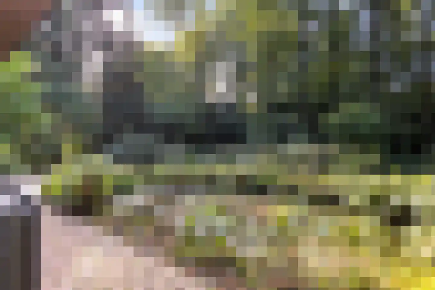 Hulhorstweg 28 Beekbergen thumbnail 52