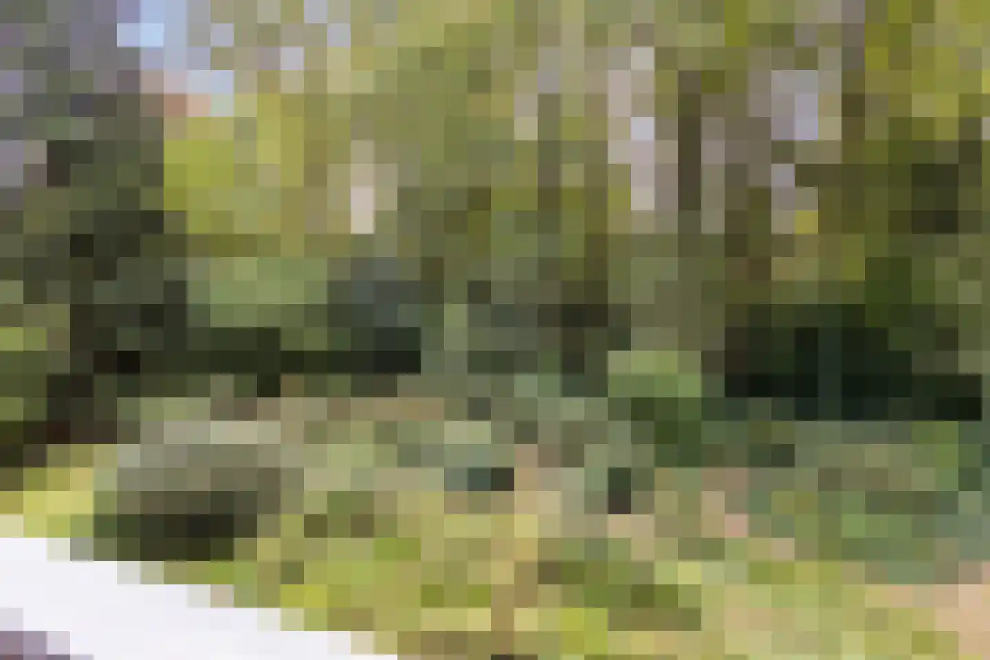 Hulhorstweg 28 Beekbergen thumbnail 53