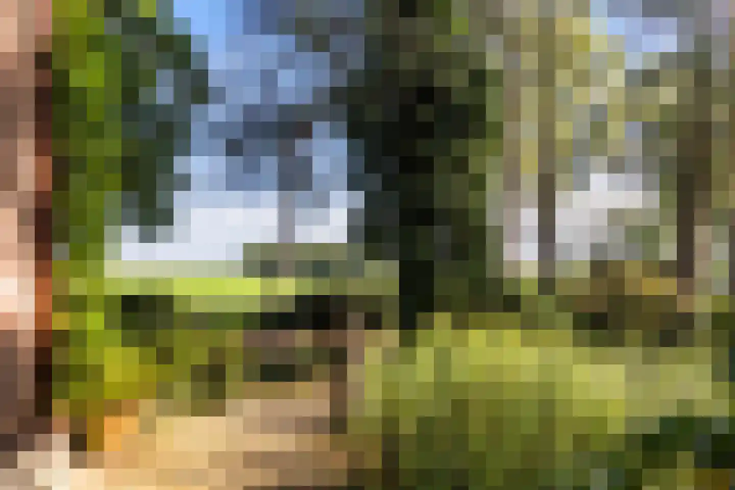 Hulhorstweg 28 Beekbergen thumbnail 54
