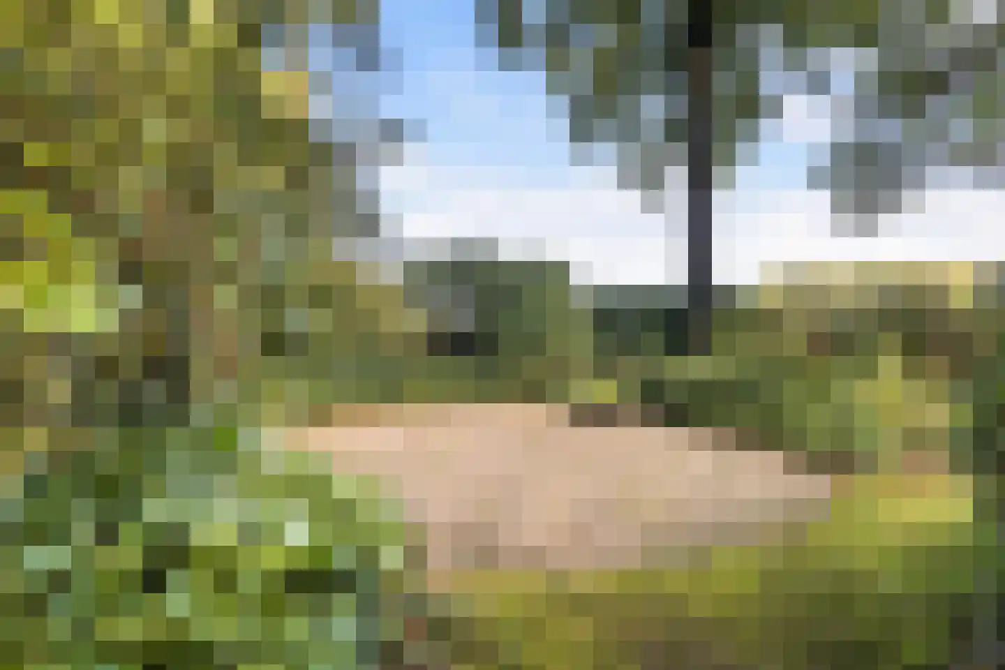 Hulhorstweg 28 Beekbergen thumbnail 60
