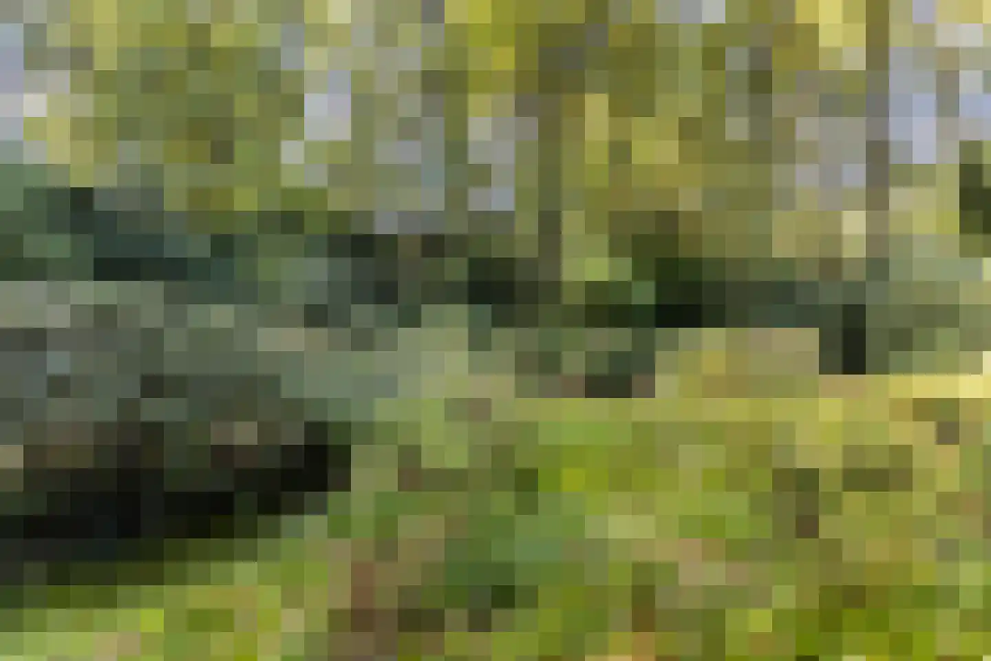 Hulhorstweg 28 Beekbergen thumbnail 61