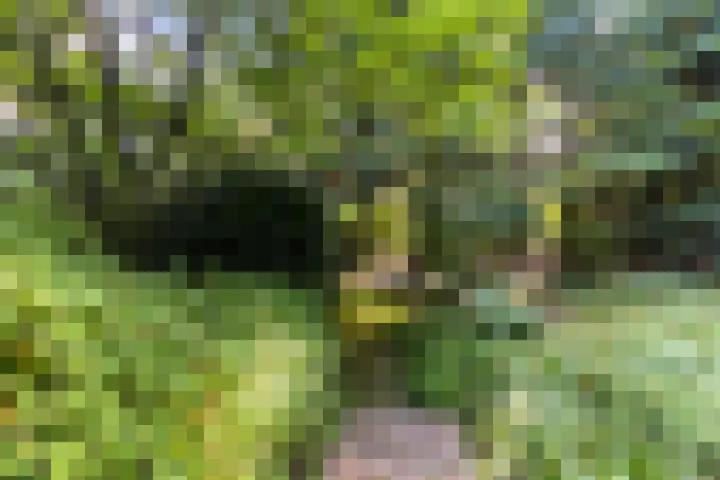 Hulhorstweg 28 Beekbergen thumbnail 62