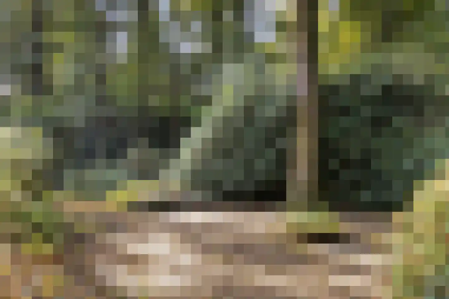 Hulhorstweg 28 Beekbergen thumbnail 63