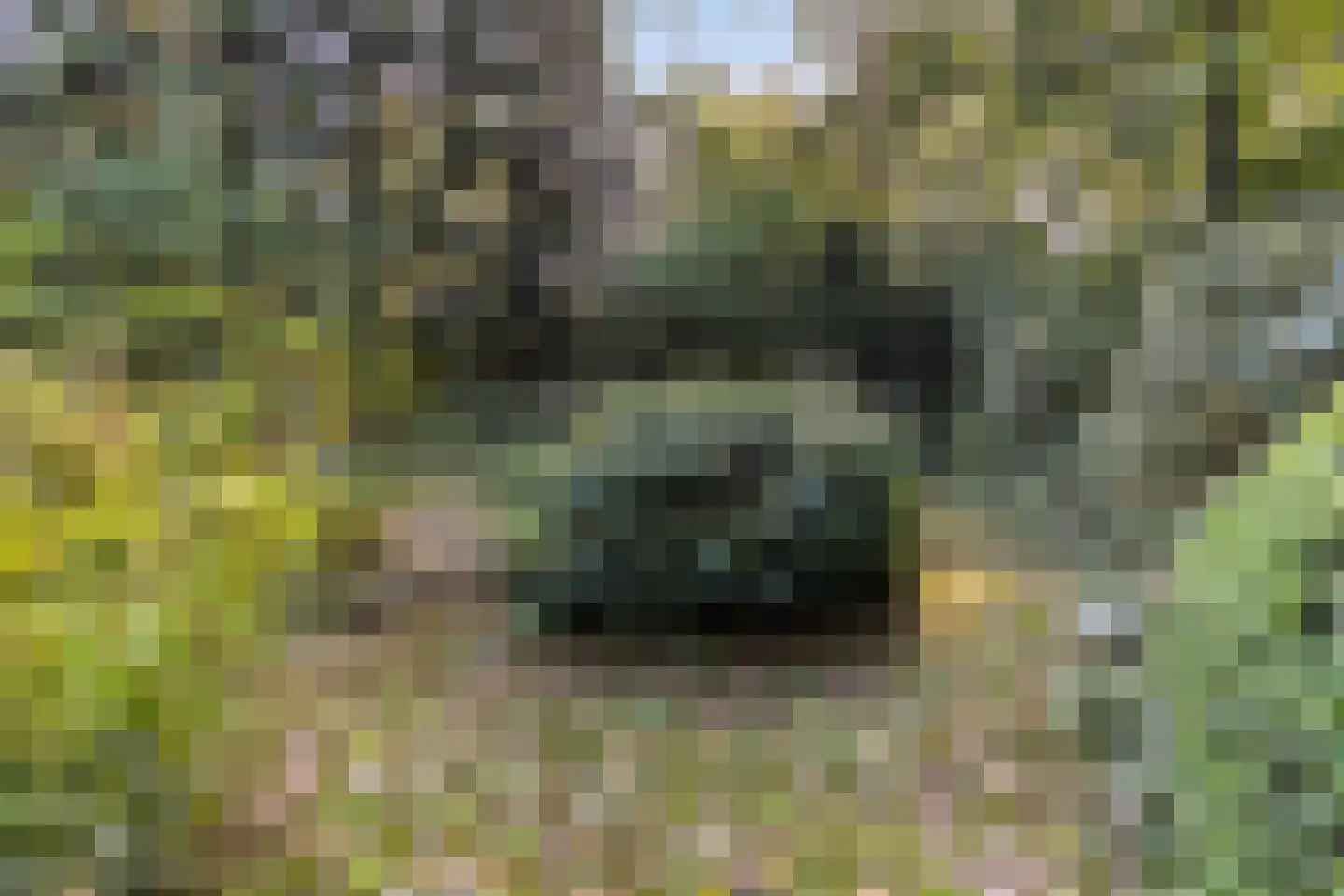 Hulhorstweg 28 Beekbergen thumbnail 65