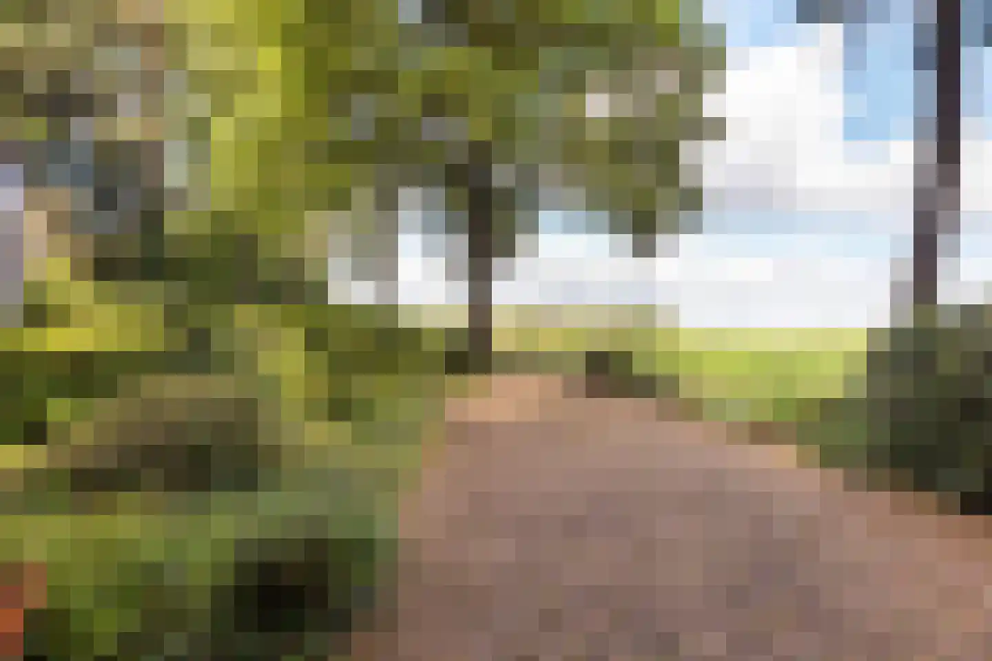 Hulhorstweg 28 Beekbergen thumbnail 66