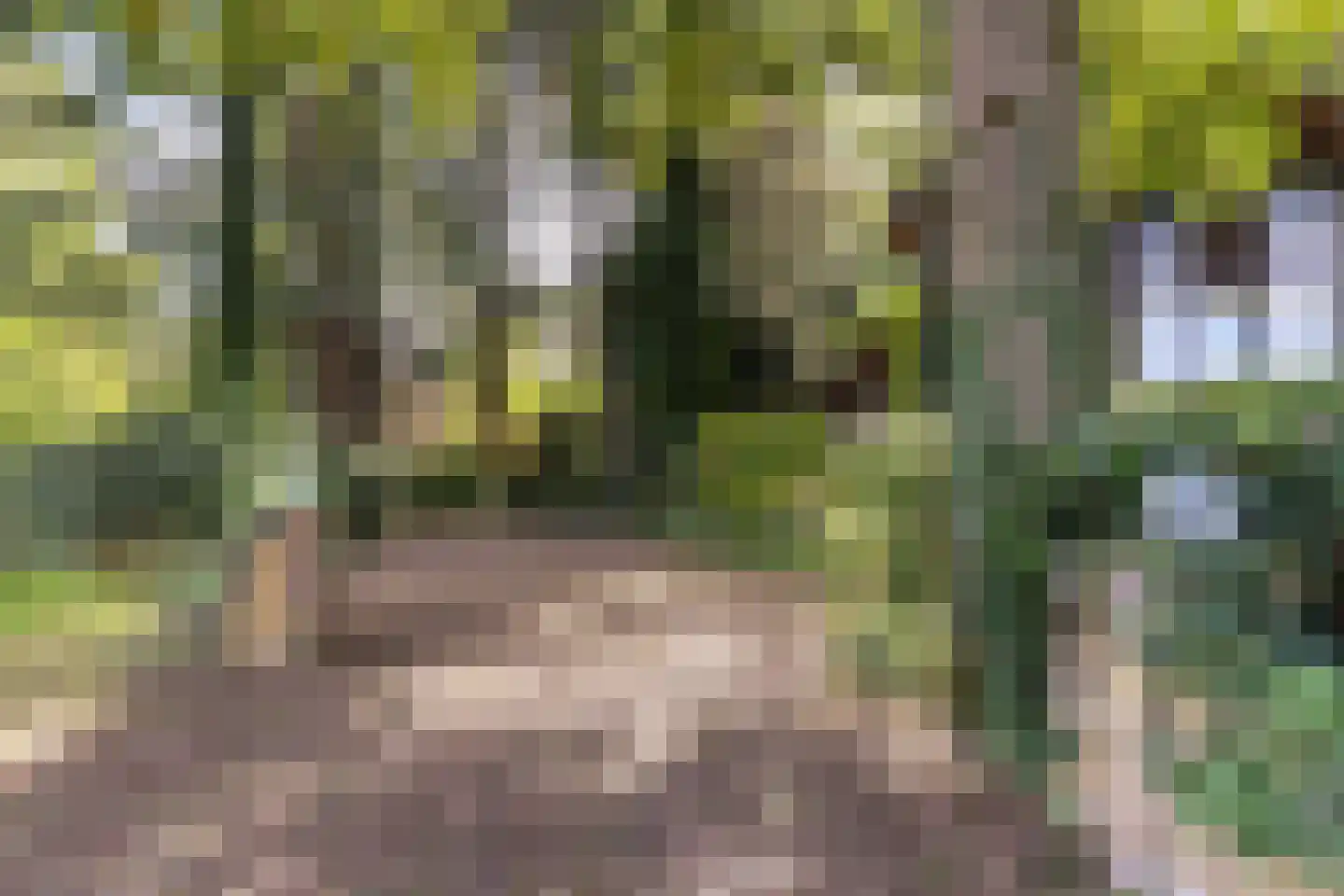 Hulhorstweg 28 Beekbergen thumbnail 67