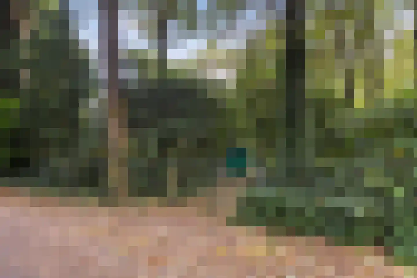 Hulhorstweg 28 Beekbergen thumbnail 68