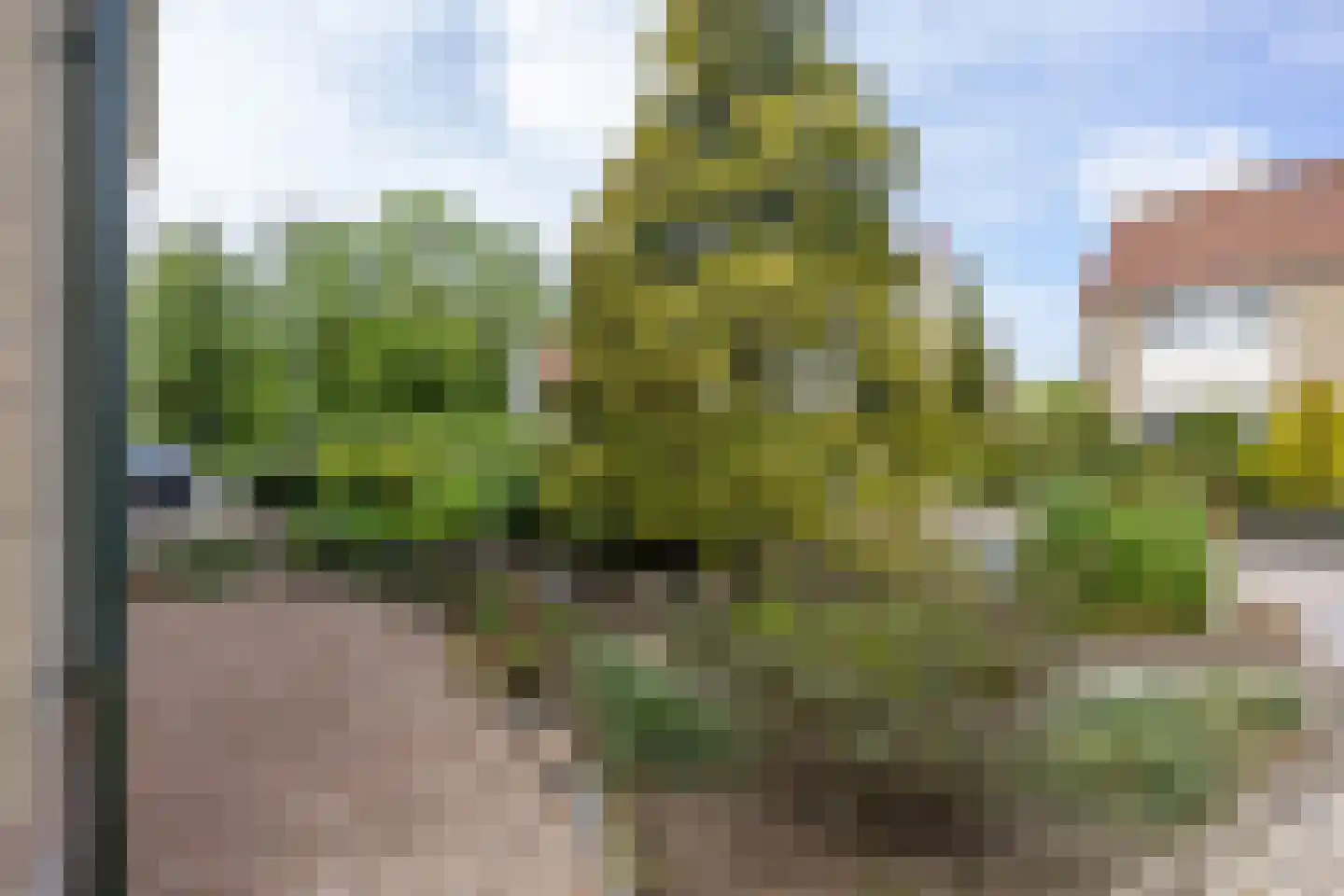 Hulk 38 Franeker thumbnail 14