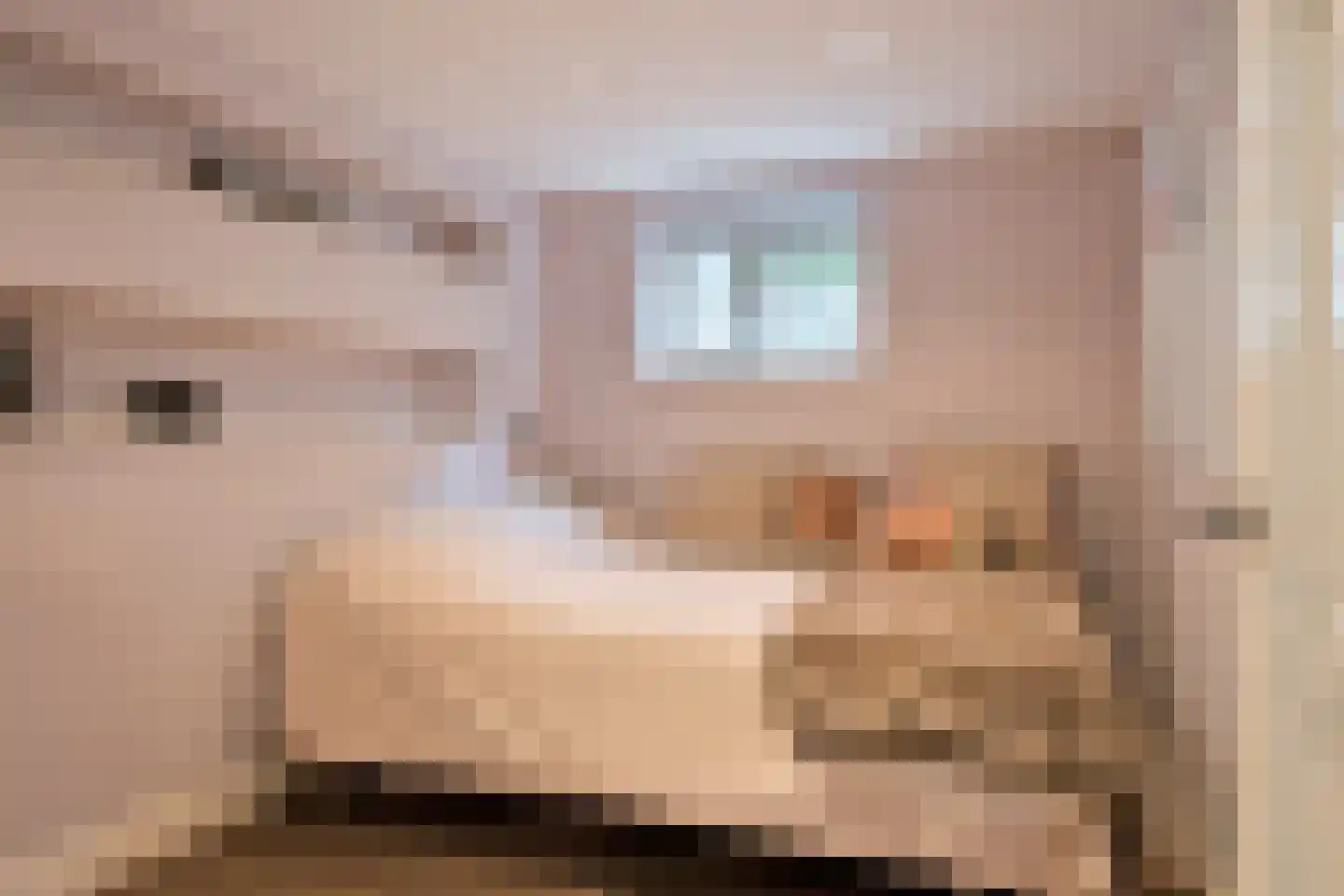 Hulkesteinseweg 31 Arnhem thumbnail 56