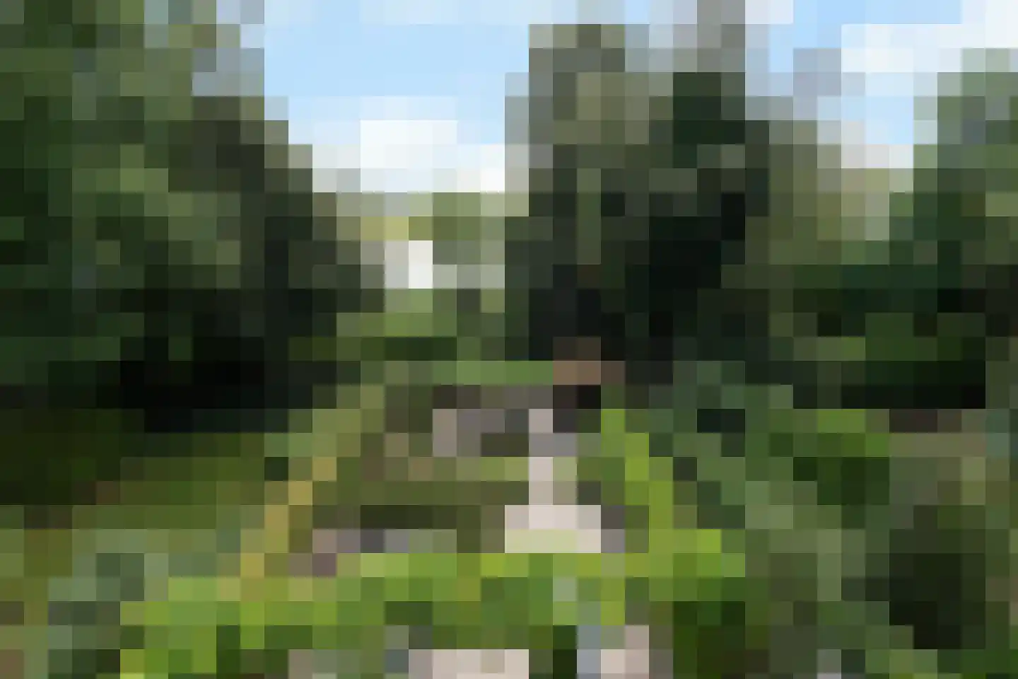 Hulkesteinseweg 31 Arnhem thumbnail 60