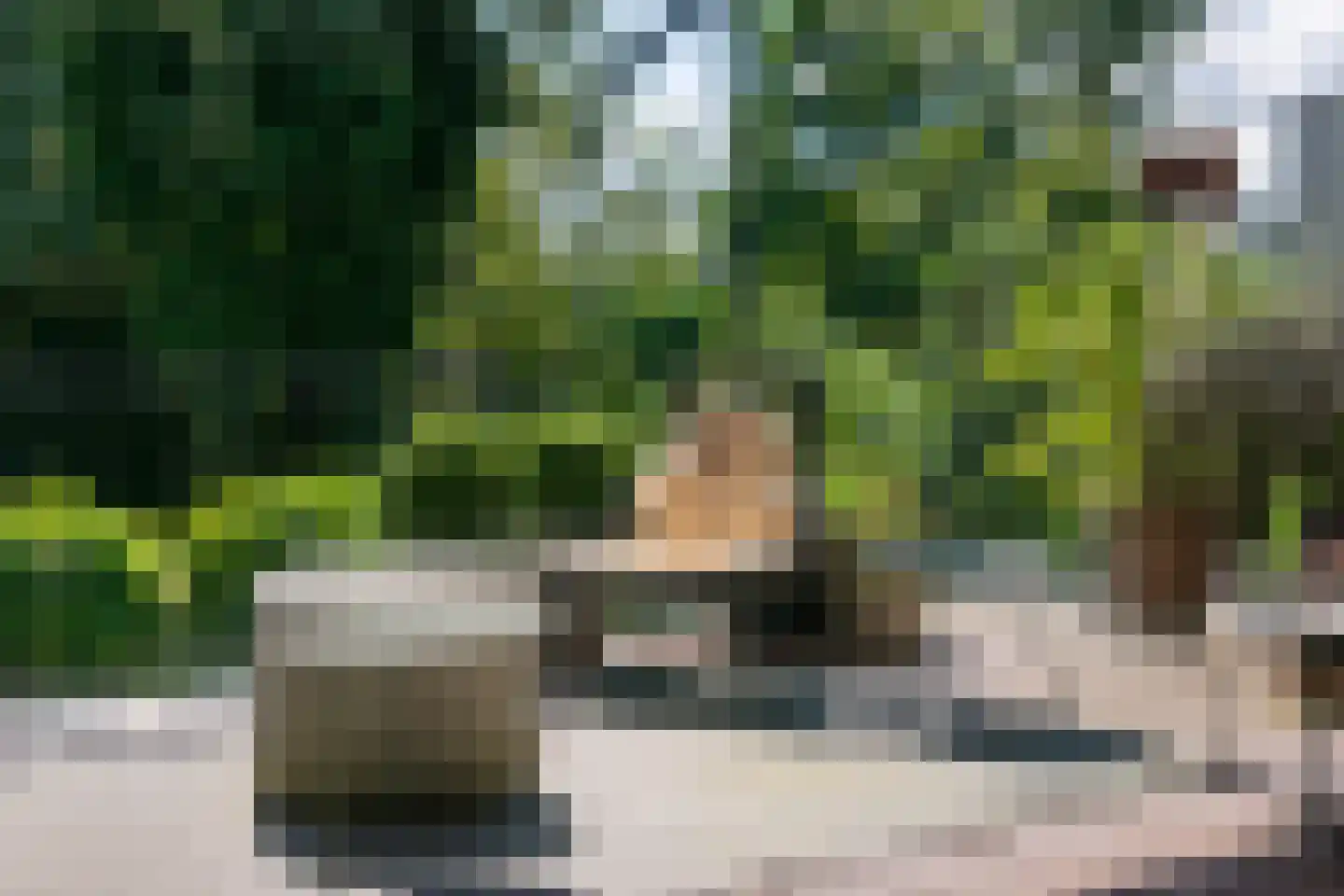 Hulkesteinseweg 31 Arnhem thumbnail 64