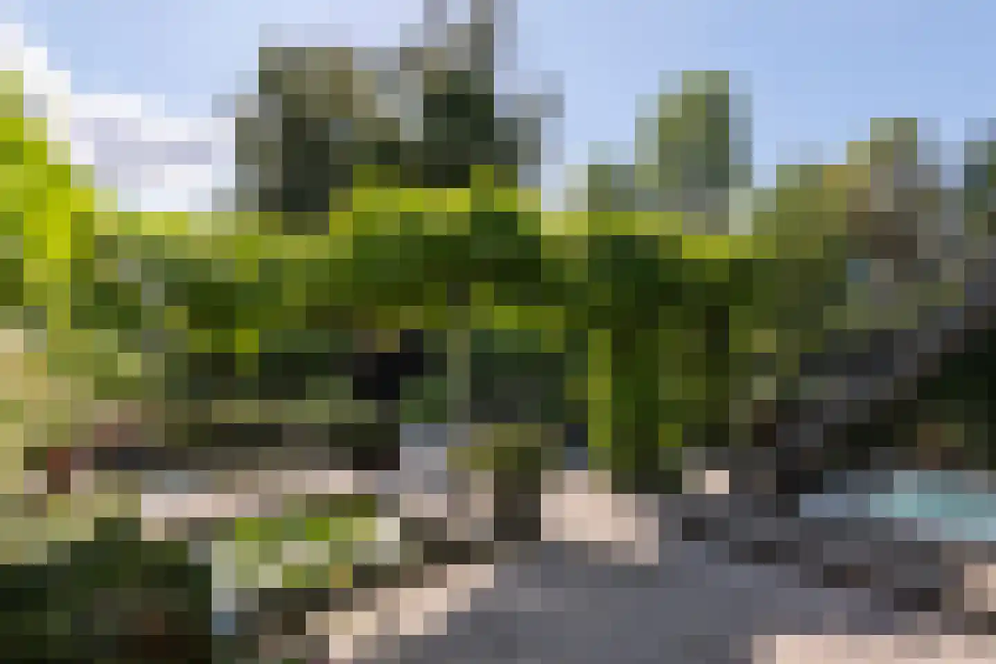 Hulkesteinseweg 31 Arnhem thumbnail 69