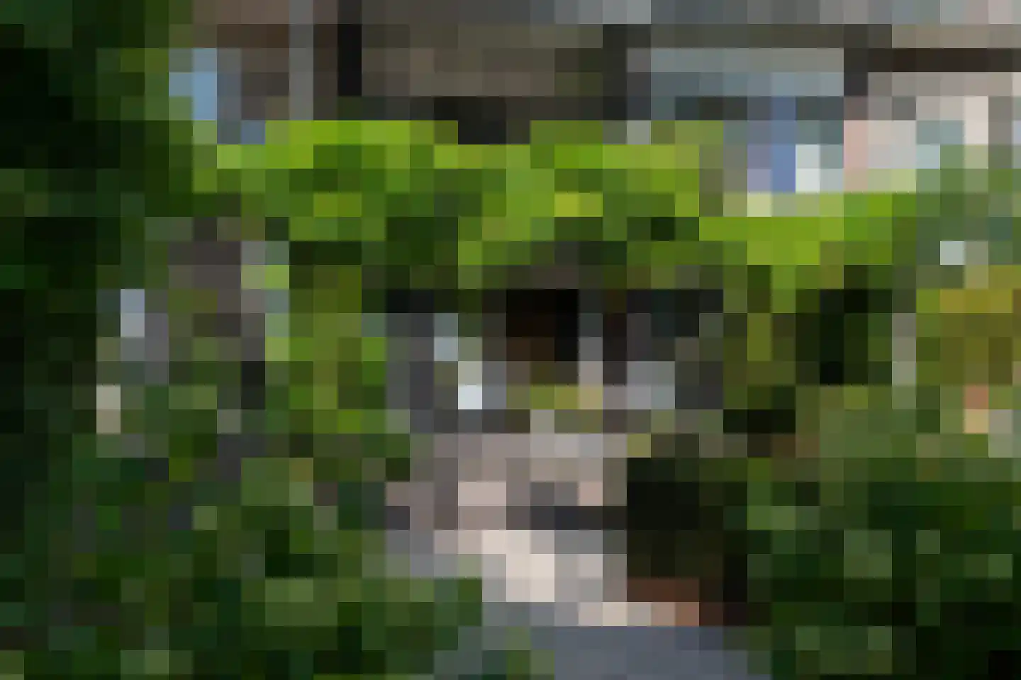 Hulkesteinseweg 31 Arnhem thumbnail 82