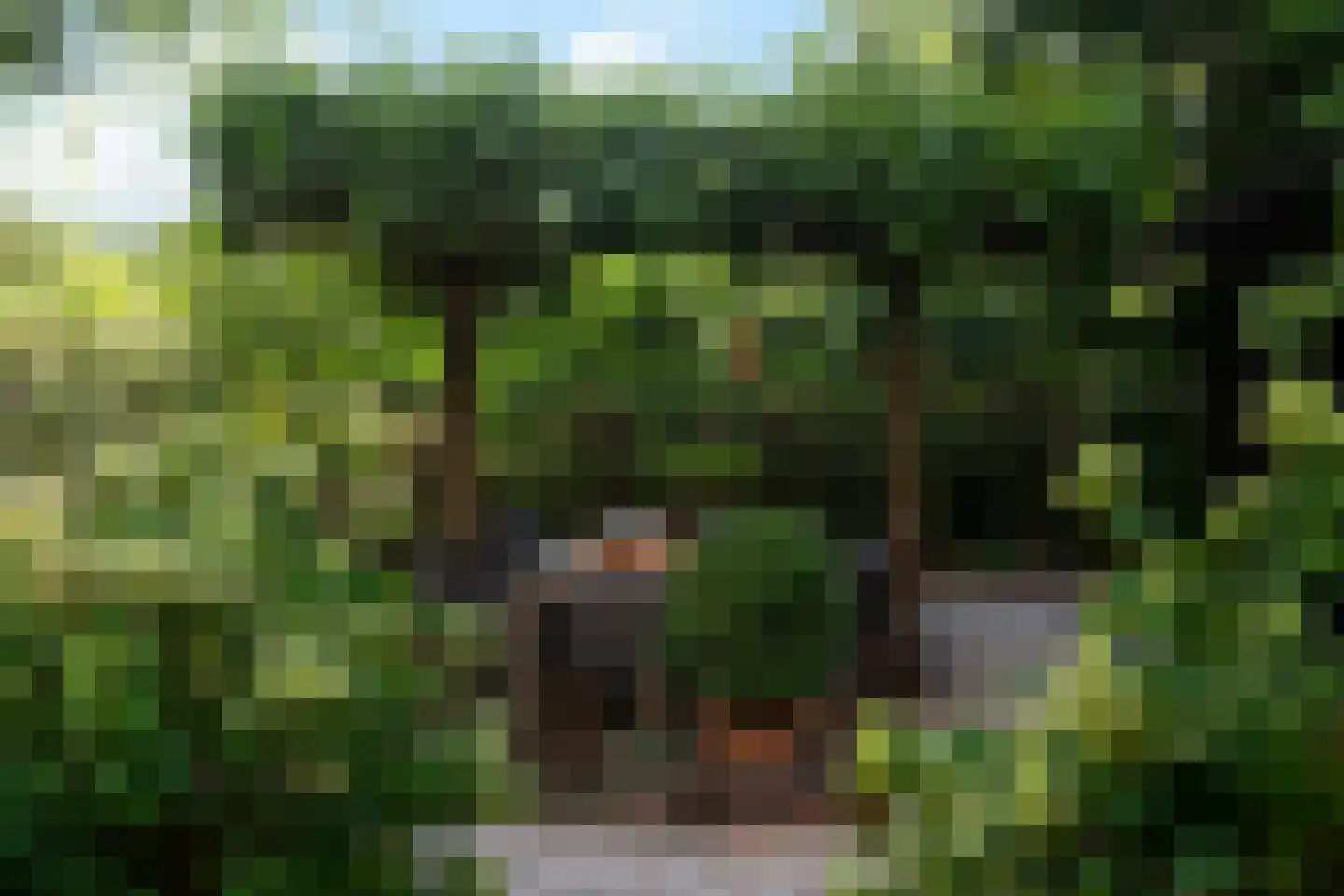 Hulkesteinseweg 31 Arnhem thumbnail 83