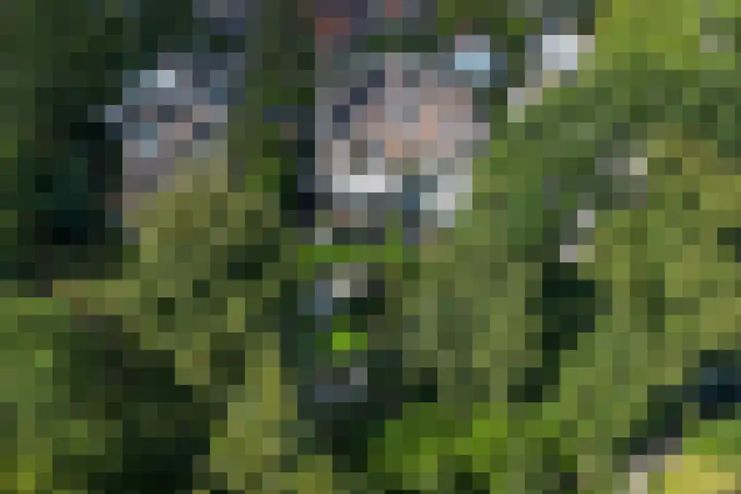 Hulkesteinseweg 31 Arnhem thumbnail 84