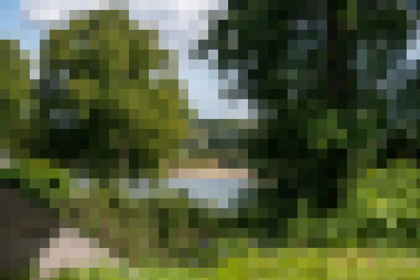 Hulkesteinseweg 31 Arnhem thumbnail 85