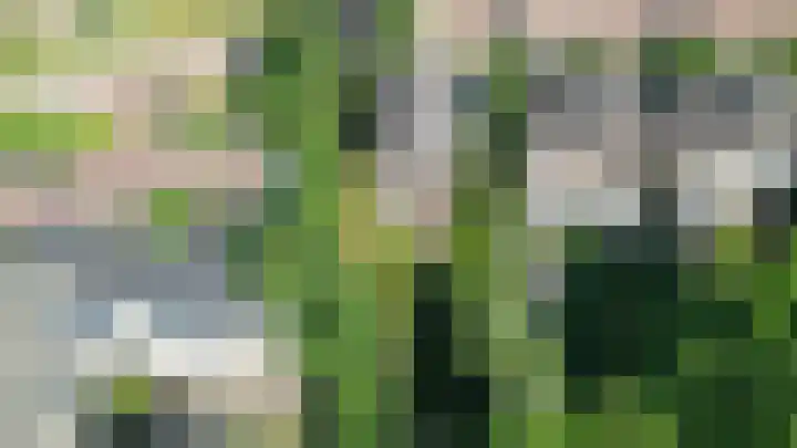 Hulkesteinseweg 35 Arnhem thumbnail 54