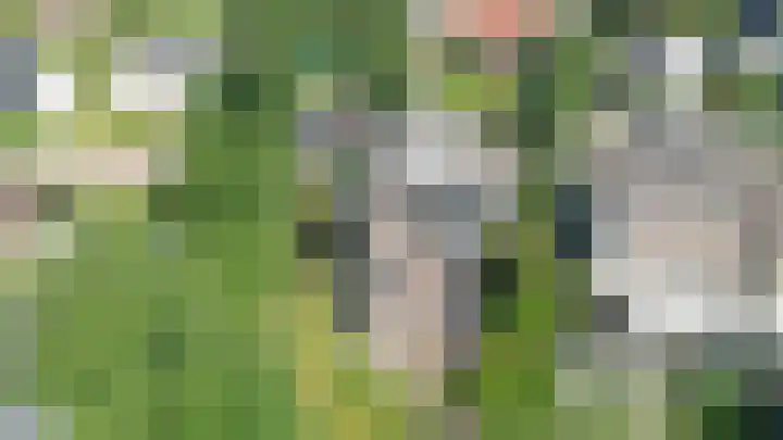 Hulkesteinseweg 35 Arnhem thumbnail 55