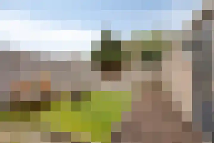 Hulkesteinstraat 17 Nijmegen thumbnail 14