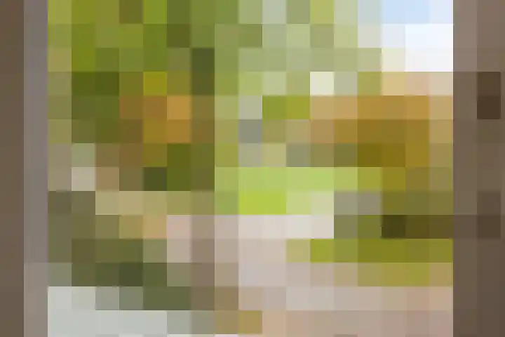 Hulkesteinstraat 17 Nijmegen thumbnail 23